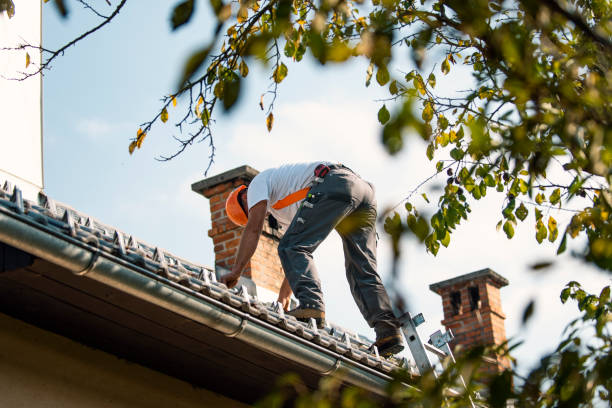 Best Storm Damage Roof Repair  in Pine Nyon, CA