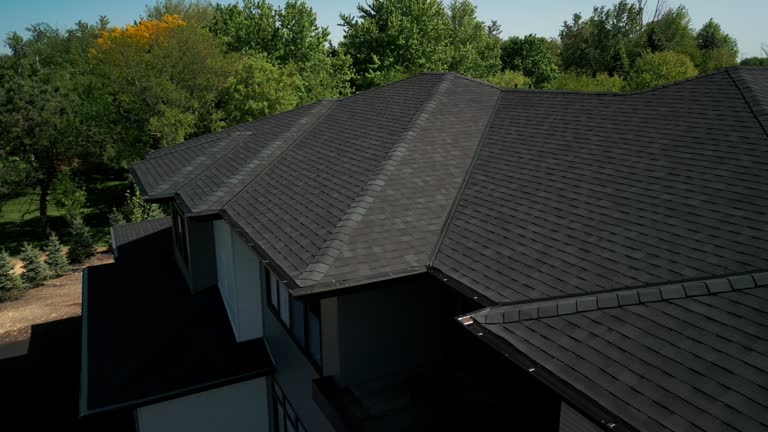 Best Roof Coating and Sealing  in Pine Nyon, CA