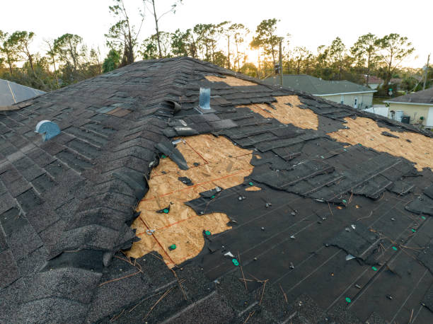 Best Roof Moss and Algae Removal  in Pine Nyon, CA